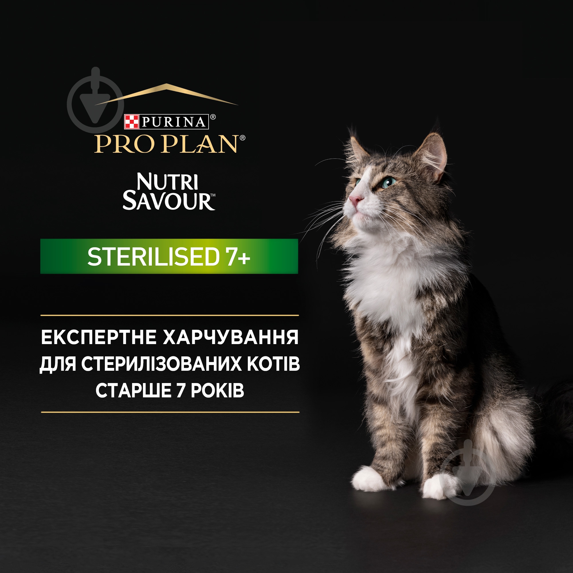 Консерва для стерилізованих котів старше 7 років Pro Plan Sterilised Senior 7+ з індичкою 85 г - фото 2 Консерва для стерилізованих котів старше 7 років Pro Plan Sterilised Senior 7+ з індичкою 85 г - фото 2