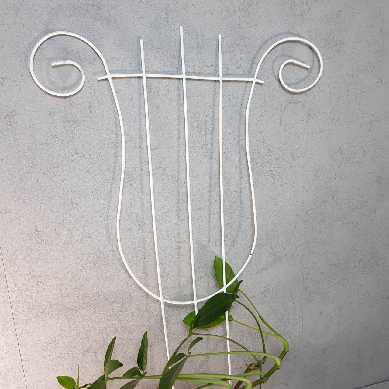 Опора для растений Арфа в ассортименте - фото 1 Опора для растений Арфа в ассортименте - фото 1