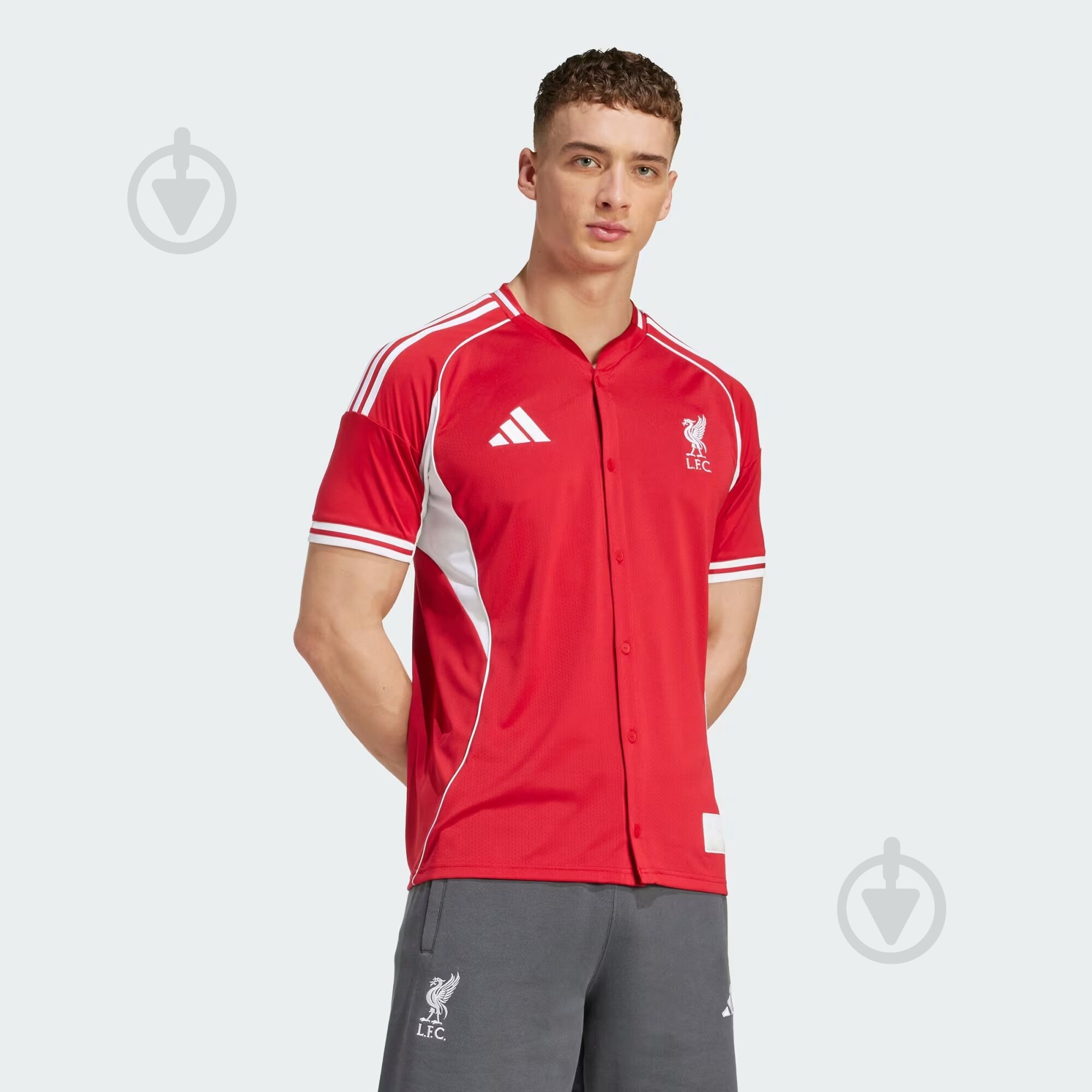 ᐉ Футболка Adidas LFC US SHIRT JW5480 р.2XL разноцветный • Купить