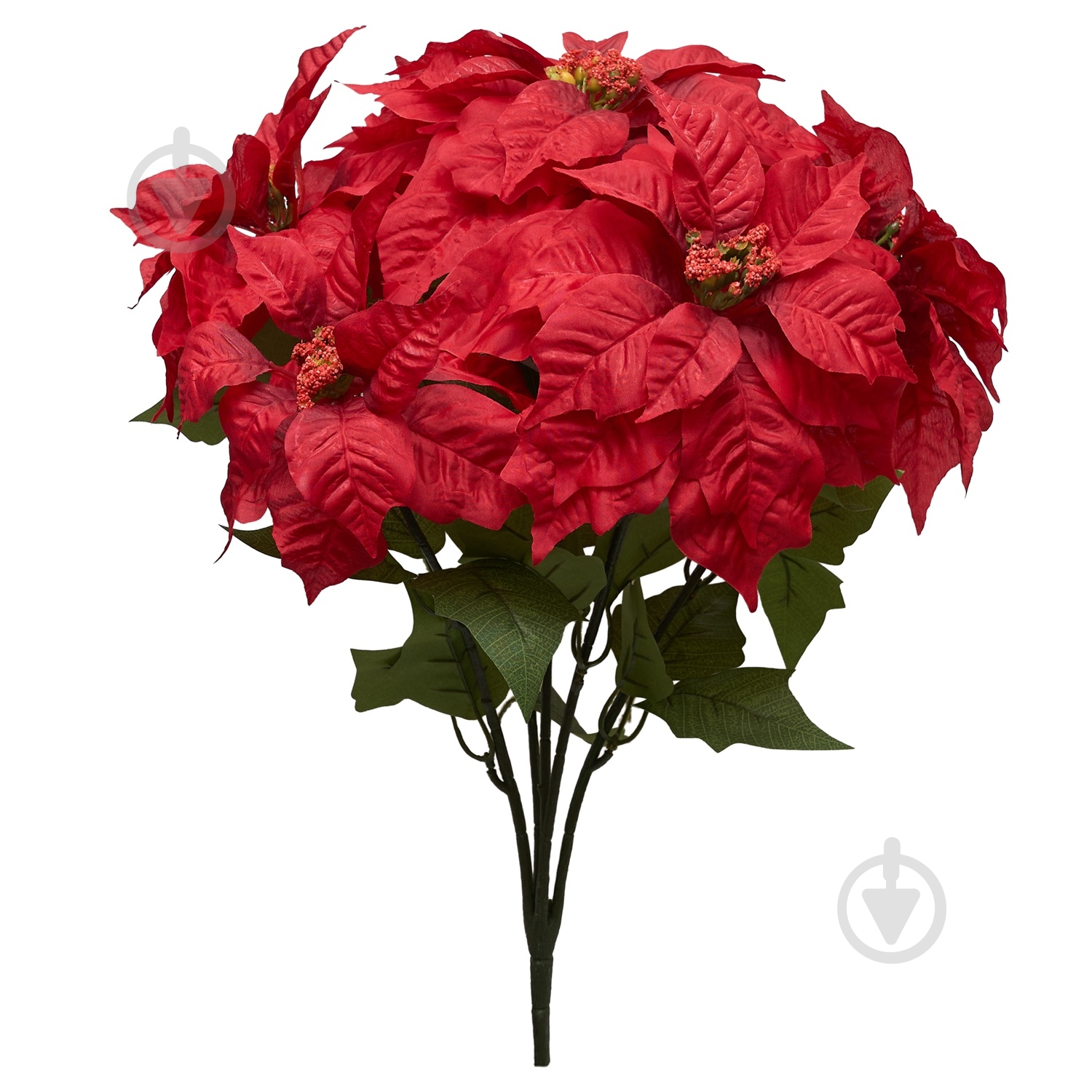 Букет Пуансеттия красная 47 см Девилон - фото 1