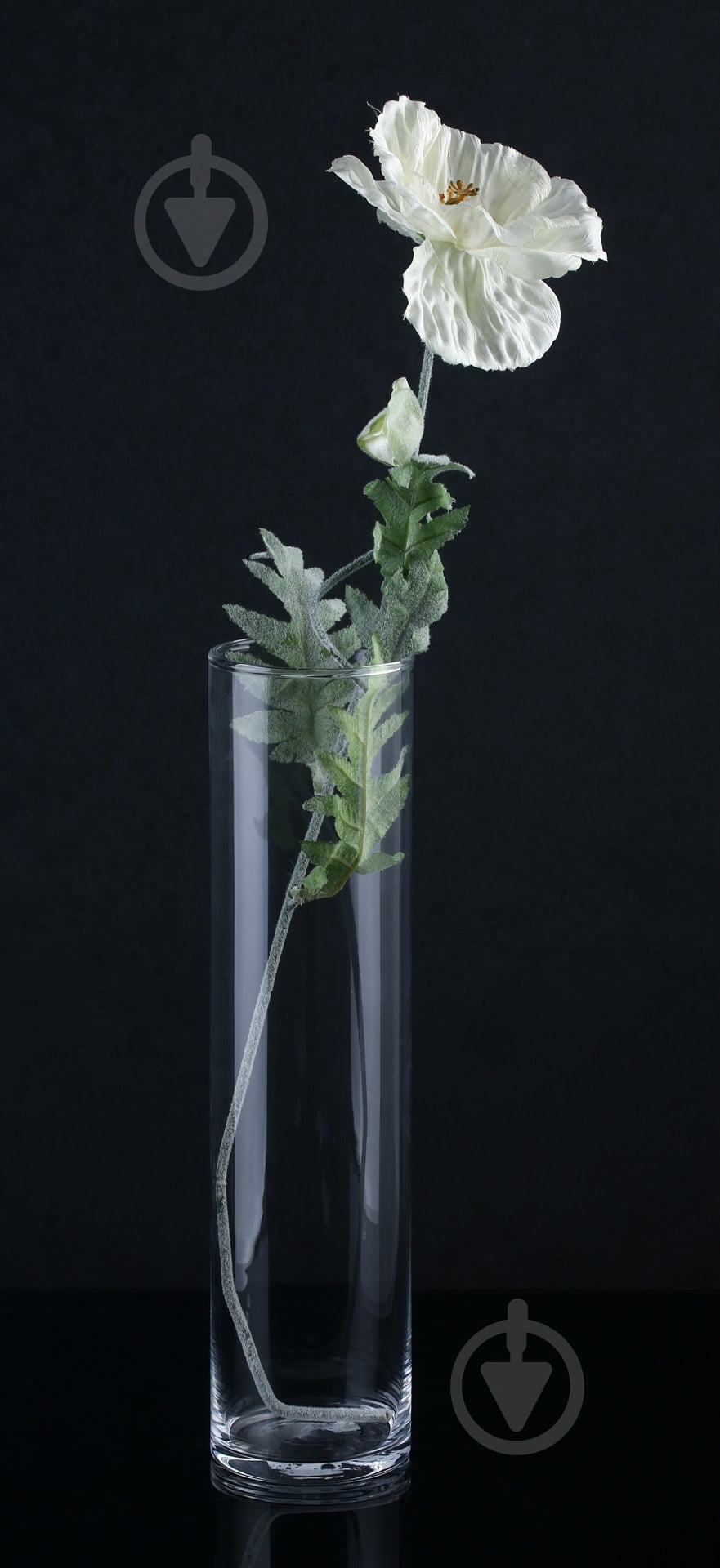 Ваза стеклянная Wrzesniak Glassworks 10х40 см 40 см прозрачная - фото 2 Ваза стеклянная Wrzesniak Glassworks 10х40 см 40 см прозрачная - фото 2