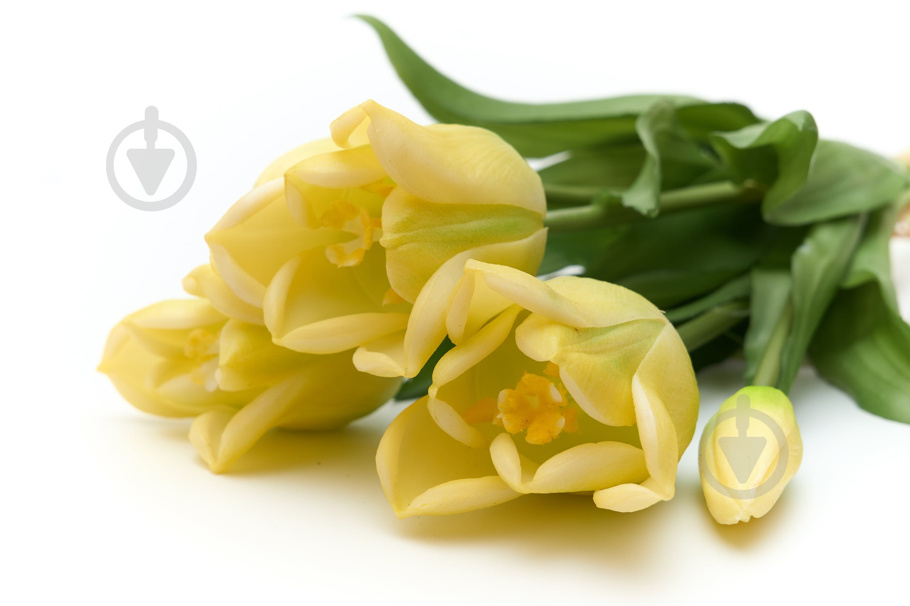 Букет тюльпан 34 см 5 шт. желтый Девилон - фото 2