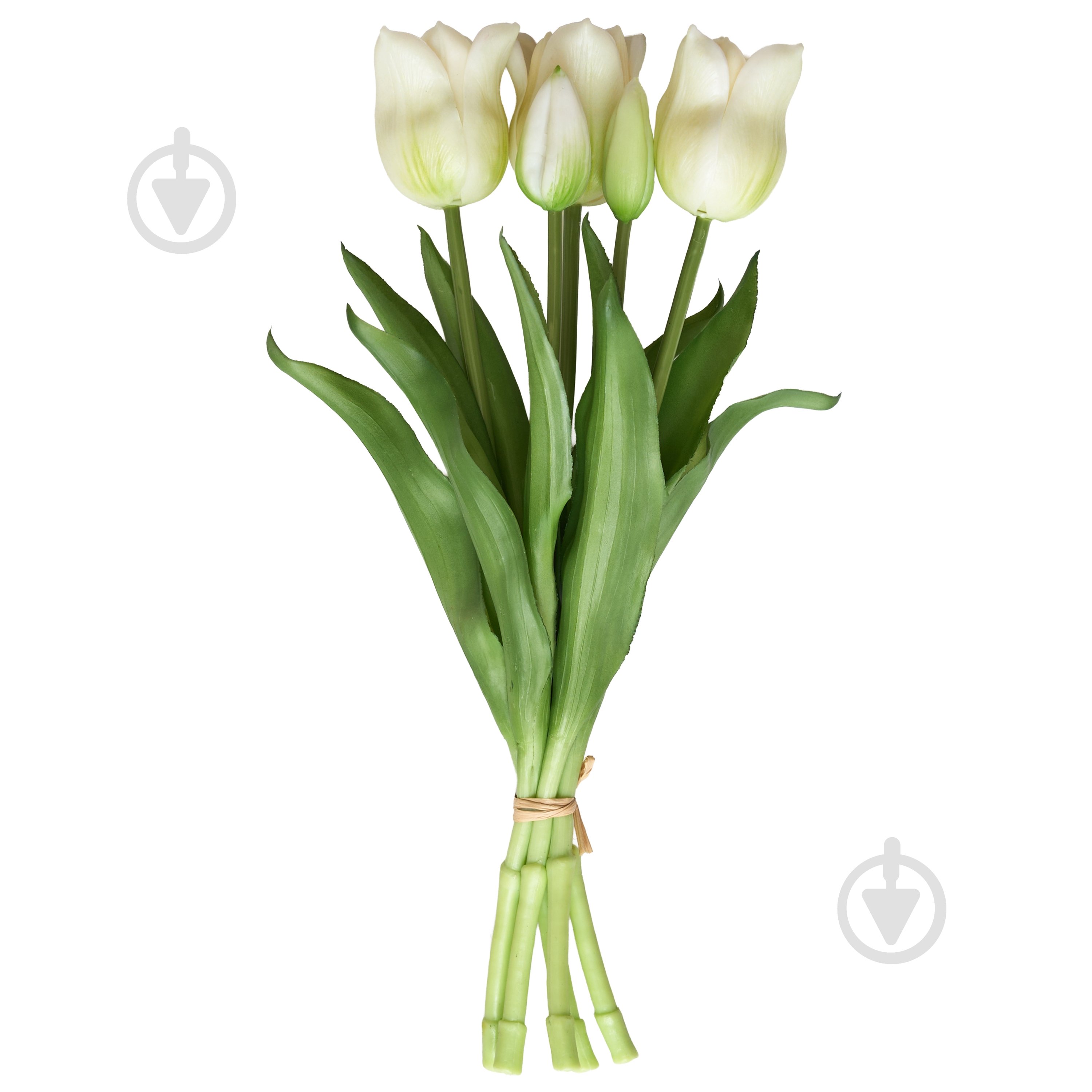 Букет Тюльпаны белые 34 см. 5 шт. Девилон - фото 1