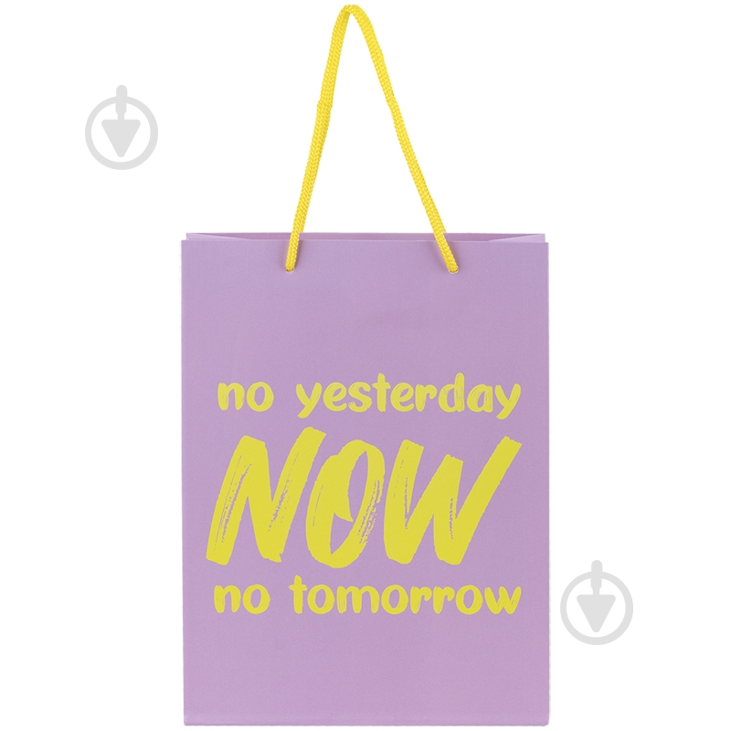 Пакет подарочный NOW 8501-27-A 18х24 см Axent - фото 1 Пакет подарочный NOW 8501-27-A 18х24 см Axent - фото 1