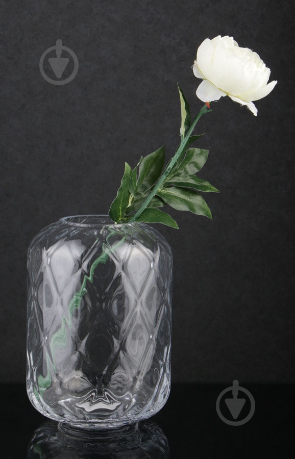 Ваза стеклянная S Ролер 24 см 24 см прозрачная - фото 2