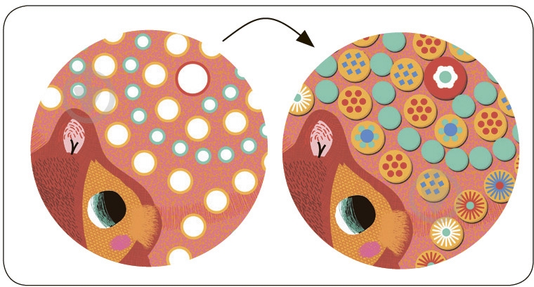 Мозаика Djeco Белочка DJ08897 - фото 4 Мозаика Djeco Белочка DJ08897 - фото 4