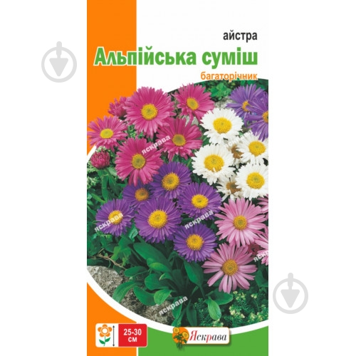 Семена Яскрава астра альпийская смесь - фото 1