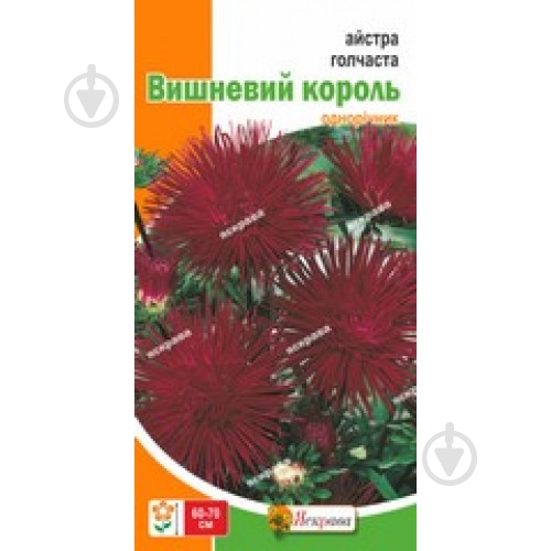 Семена Яскрава астра игольчатая Вишневый король - фото 1 Семена Яскрава астра игольчатая Вишневый король - фото 1