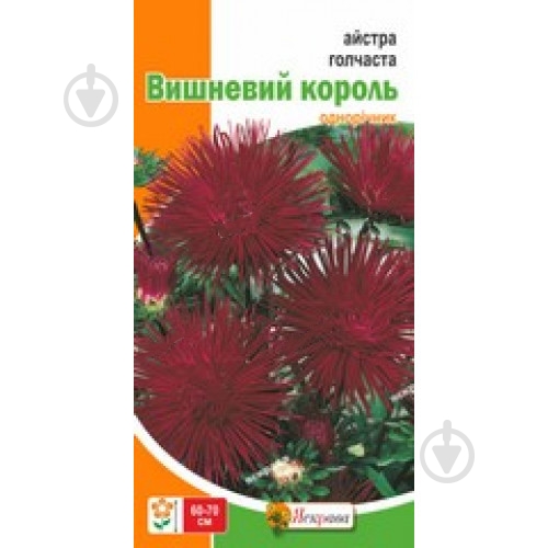 Семена Яскрава астра игольчатая Вишневый король - фото 2 Семена Яскрава астра игольчатая Вишневый король - фото 2