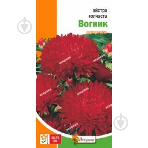 Семена Яскрава астра игольчатая Огонек - фото 1 Семена Яскрава астра игольчатая Огонек - фото 1