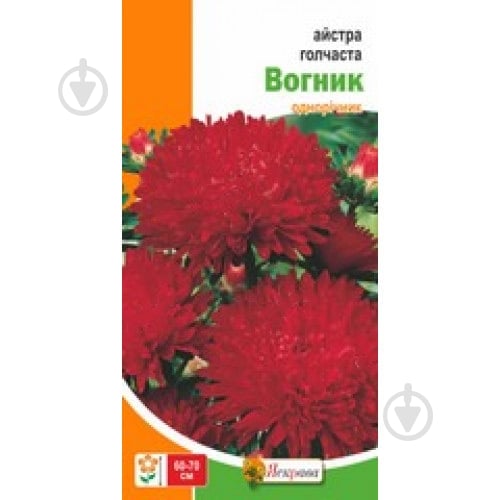Семена Яскрава астра игольчатая Огонек - фото 2 Семена Яскрава астра игольчатая Огонек - фото 2