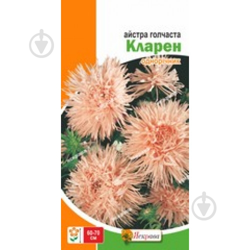 Семена Яскрава астра игольчатая Кларен - фото 1
