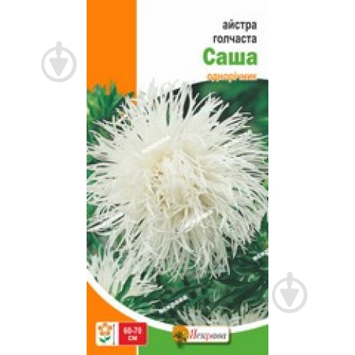 Семена Яскрава астра игольчатая Саша - фото 1 Семена Яскрава астра игольчатая Саша - фото 1