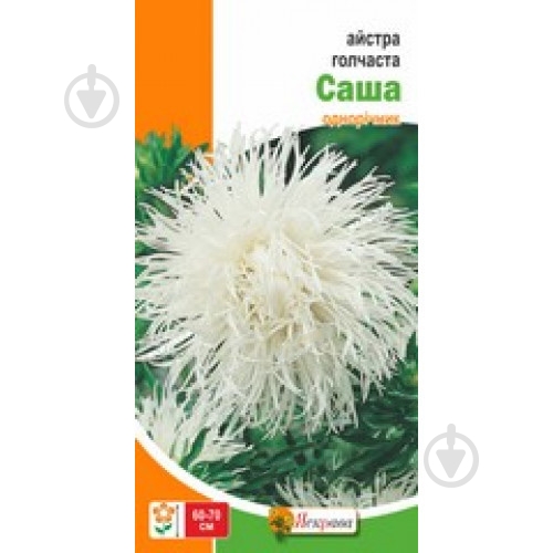 Семена Яскрава астра игольчатая Саша - фото 2 Семена Яскрава астра игольчатая Саша - фото 2