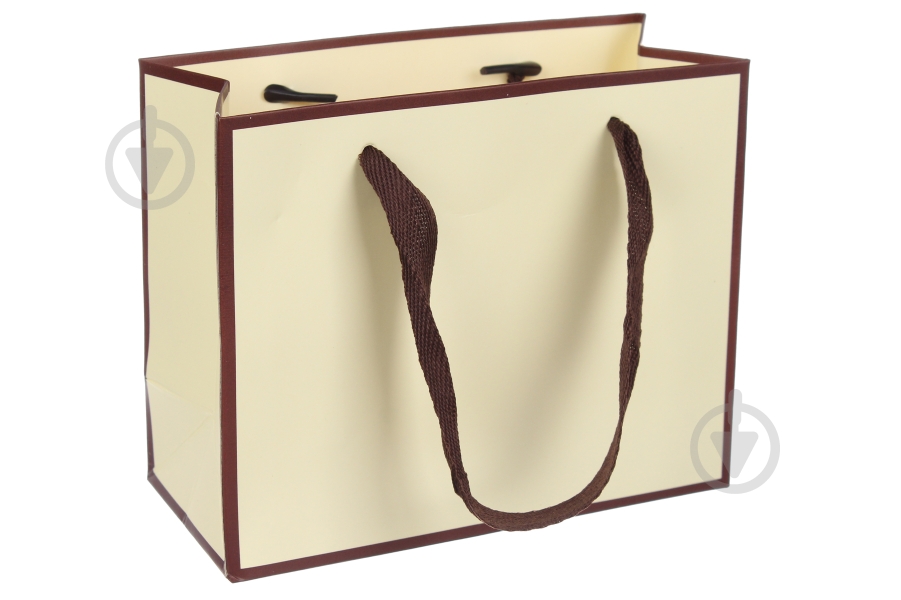 Пакет подарочный 16x7x13 см 3123-4001 - фото 1
