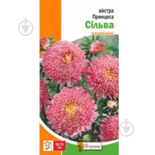 Семена Яскрава астра принцесса Сильва - фото 2 Семена Яскрава астра принцесса Сильва - фото 2