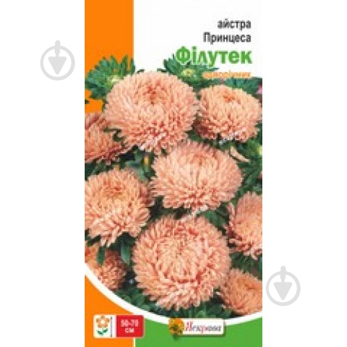 Семена Яскрава астра принцесса Филутек - фото 1 Семена Яскрава астра принцесса Филутек - фото 1