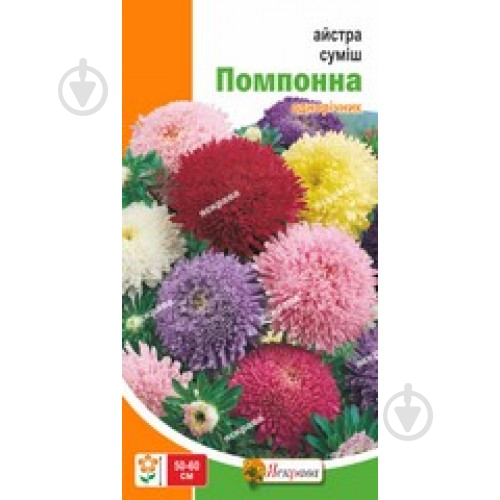 Семена Яскрава астра помпонная смесь - фото 1