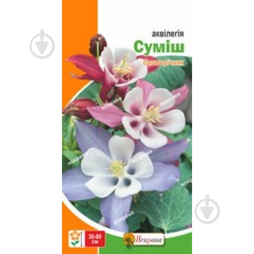 Семена Яскрава аквилегия смесь - фото 1