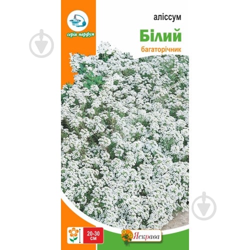 Семена Яскрава алиссум Алиссум белый - фото 1 Семена Яскрава алиссум Алиссум белый - фото 1