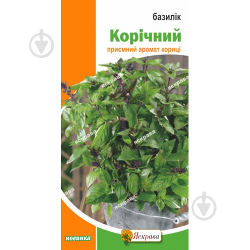 Семена Яскрава базилик Коричный 0,3 г - фото 1 Семена Яскрава базилик Коричный 0,3 г - фото 1