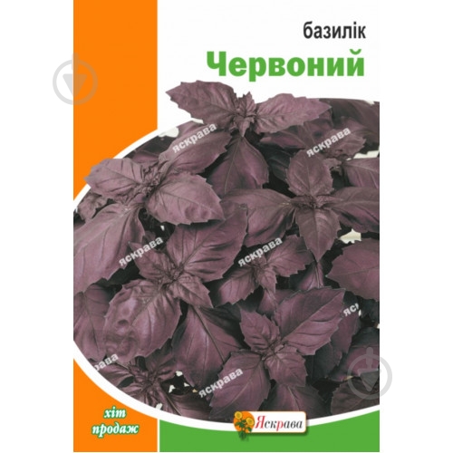 Семена Яскрава базилик красный 2,5 г - фото 1