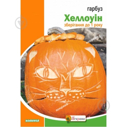 Семена Яскрава тыква Хэллоуин (4823069919184) - фото 1