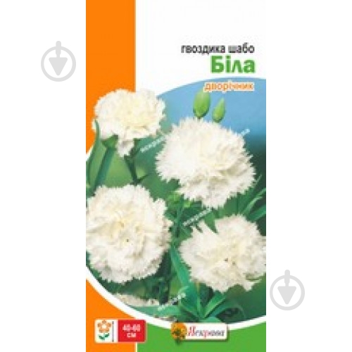 Семена Яскрава гвоздика шабо Белая - фото 1