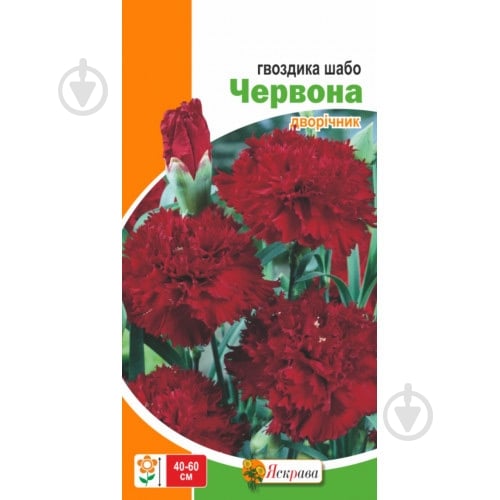 Семена Яскрава гвоздика шабо Красная - фото 2