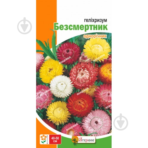 Семена Яскрава гелихризум обычный смесь (бессмертник) - фото 1 Семена Яскрава гелихризум обычный смесь (бессмертник) - фото 1