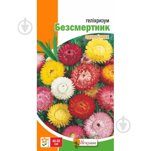 Семена Яскрава гелихризум обычный смесь (бессмертник) - фото 2 Семена Яскрава гелихризум обычный смесь (бессмертник) - фото 2