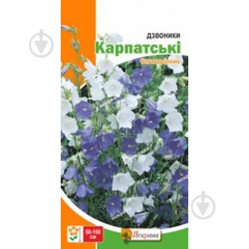 Насіння Яскрава дзвіночок карпатський Багаторiчнi - фото 1 Насіння Яскрава дзвіночок карпатський Багаторiчнi - фото 1
