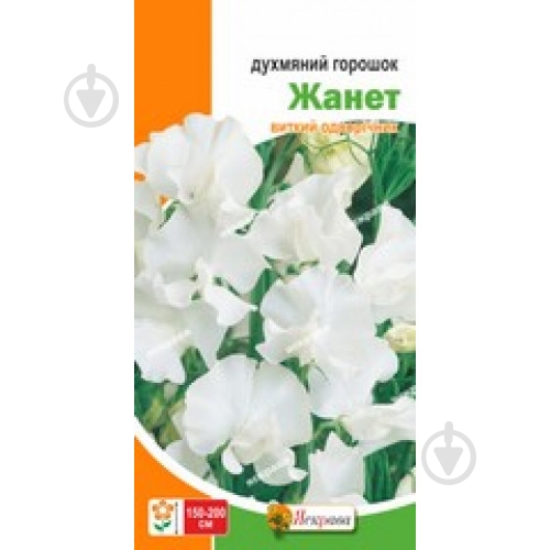 Семена Яскрава горошек душистый Жаннет (белый) - фото 1