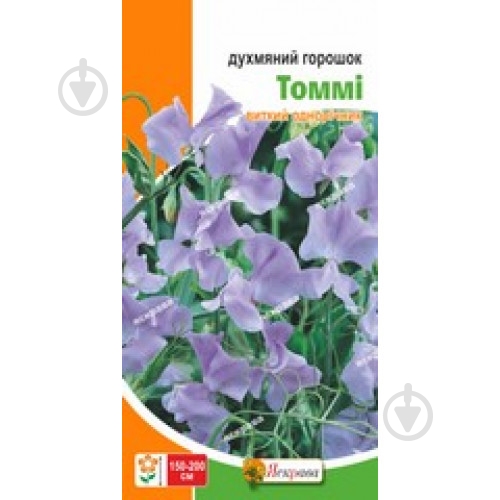 Семена Яскрава горошек душистый Томми (голубой) - фото 1