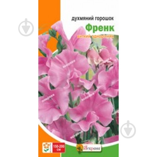 Семена Яскрава горошек душистый Френк (розовый) - фото 1 Семена Яскрава горошек душистый Френк (розовый) - фото 1