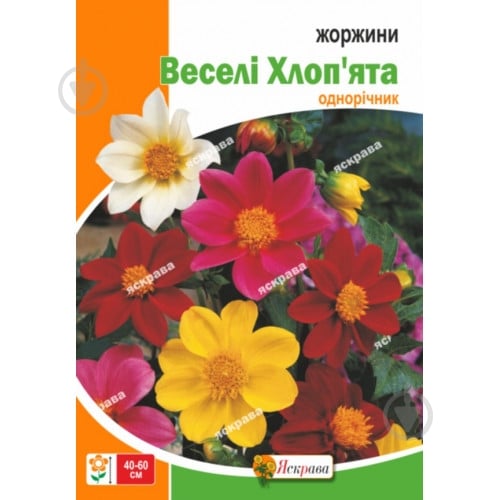 Семена Яскрава георгина Веселые Ребята - фото 1