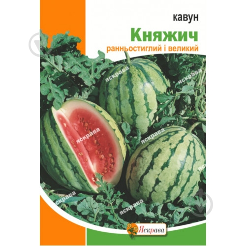 Семена Яскрава арбуз Княжич (4823069925734) - фото 1