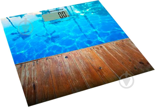 Весы напольные Esperanza Scales EBS011 - фото 1 Весы напольные Esperanza Scales EBS011 - фото 1