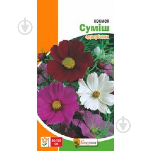 Семена Яскрава космея высокорослая - фото 2