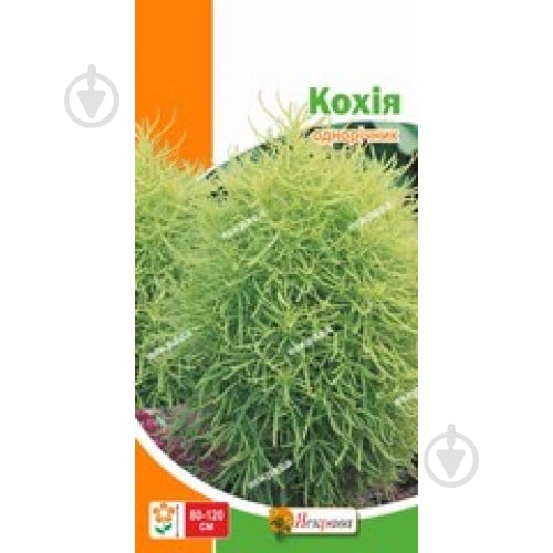 Семена Яскрава кохия Кохия - фото 1 Семена Яскрава кохия Кохия - фото 1