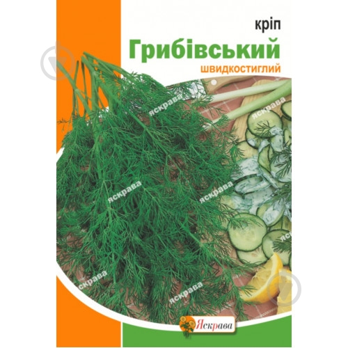 Семена Яскрава укроп Грибовский - фото 1