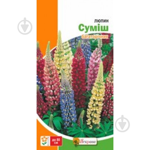 Семена Яскрава люпин Многолетний Смесь - фото 2 Семена Яскрава люпин Многолетний Смесь - фото 2