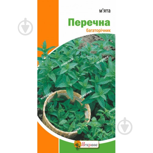 Семена Яскрава мята перечная - фото 1