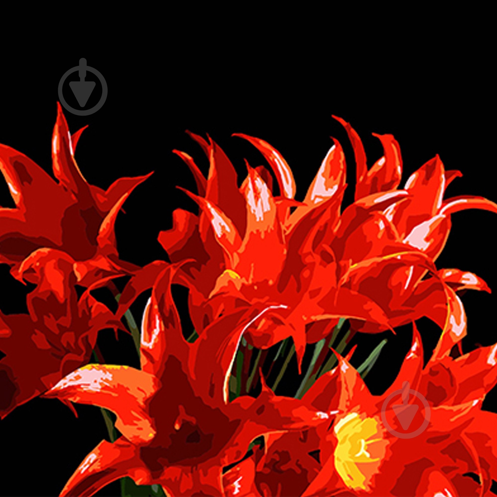 Набір для розпису за номерами Strateg на чорному фоні в асортименті 40х50 см - фото 4 Набір для розпису за номерами Strateg на чорному фоні в асортименті 40х50 см - фото 4