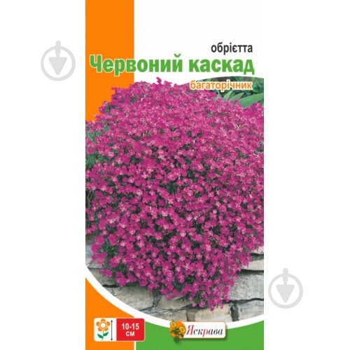 Семена Яскрава обриета Красный каскад - фото 2 Семена Яскрава обриета Красный каскад - фото 2