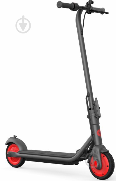Електросамокат Segway-Ninebot C20 Black (AA.00.0011.54) - фото 2
