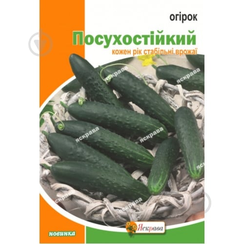 Семена Яскрава огурец Засухоустойчив 5 г (4823069911744) - фото 1 Семена Яскрава огурец Засухоустойчив 5 г (4823069911744) - фото 1