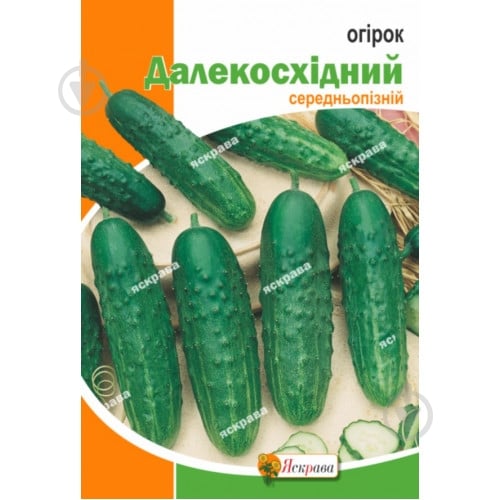 Семена Яскрава огурец Дальневосточный (4823069918545) - фото 1
