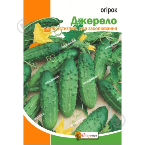 Семена Яскрава огурец Источник (4823069923716) - фото 1