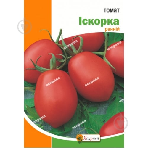 Насіння Яскрава томат Іскорка (4823069923785) - фото 1